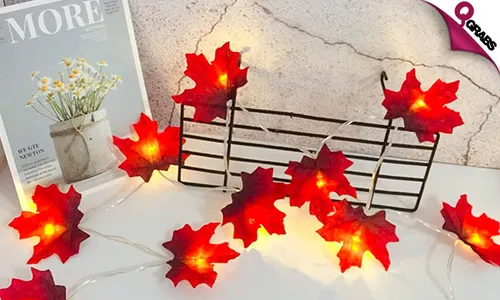 Decorative LED String Lights!